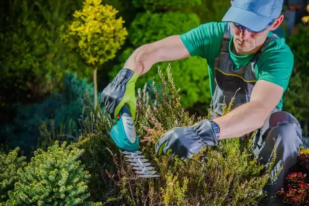 landscaping services Ransomville